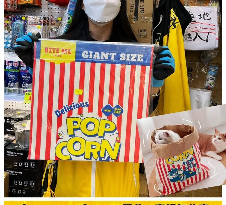 主子貓PopCorn主題玩玩紙袋~ $15