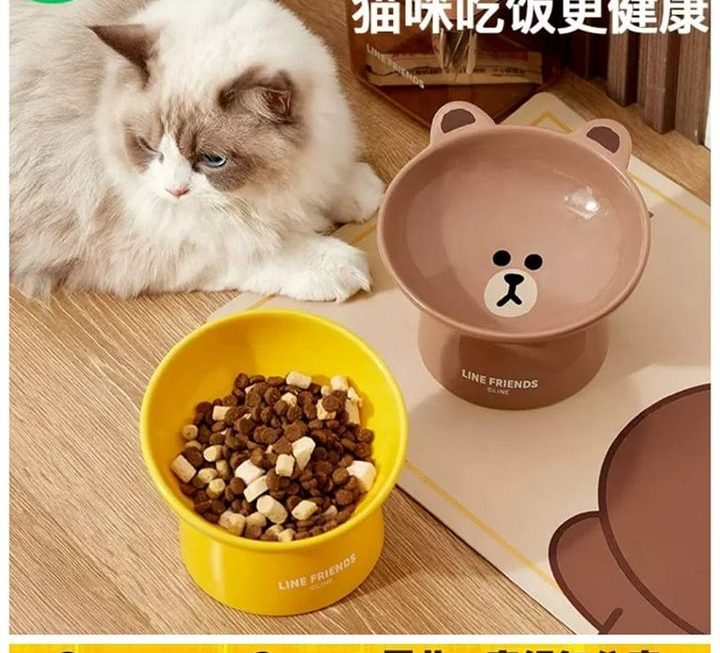Line Friends陶瓷貓碗～$39/款