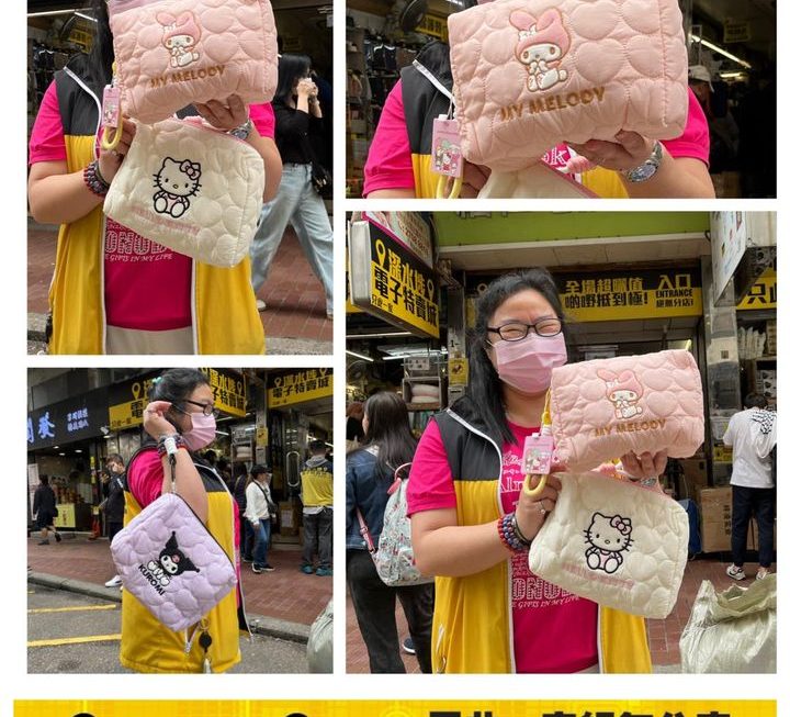 Sanrio 角色手提收納袋 ~$29