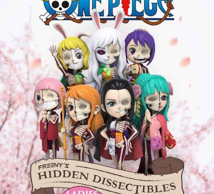 MIGHTY JAXX 海賊王LADIES EDITION盒蛋～特價$49