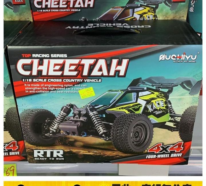 Cheetah 越野遙控車~$299