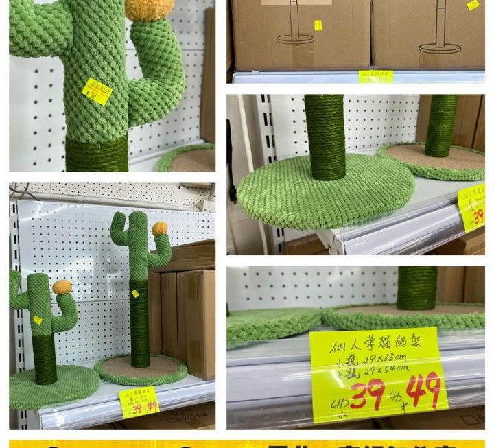 仙人掌造型寵物貓爪架