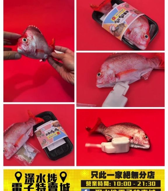 貓貓專用電動玩具紅衫魚 ~$49