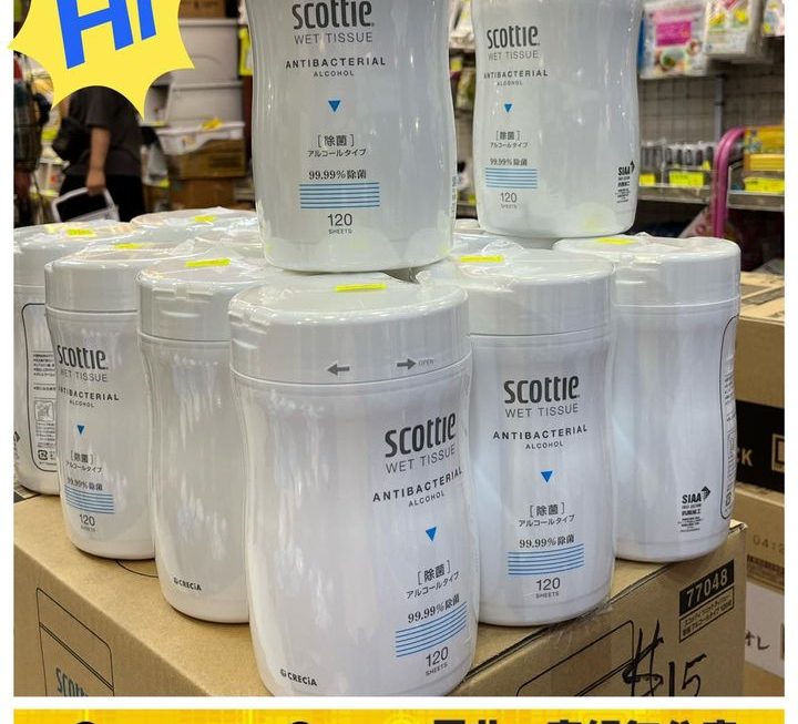 日本Scottie 抗菌消毒濕紙巾