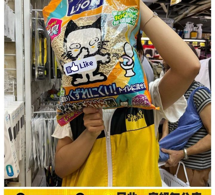 Lion 除臭貓砂~$49