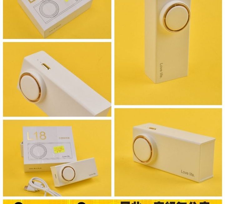 多用途臭氧除味器~$79