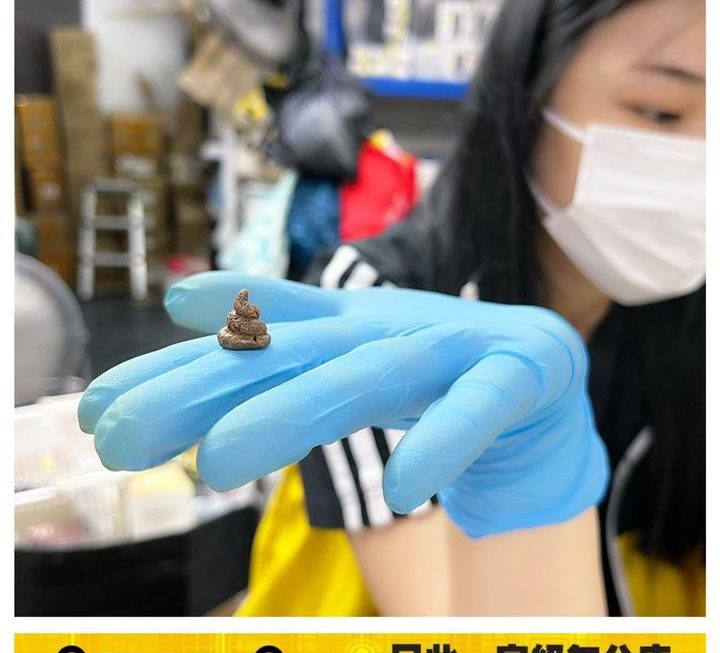 屎一篤(木擺設)~$5