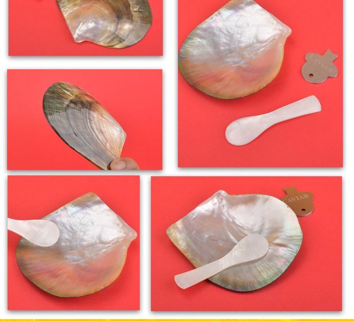 食魚子醬貝殼套裝 ~$29
