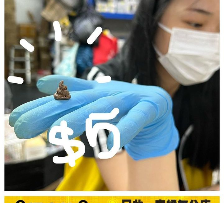 屎一篤(木擺設)~$5
