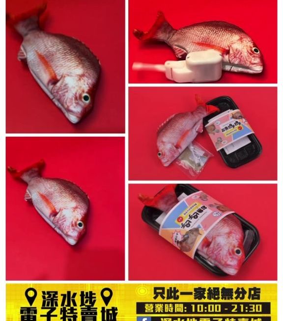 貓貓專用電動玩具紅衫魚 ~$49