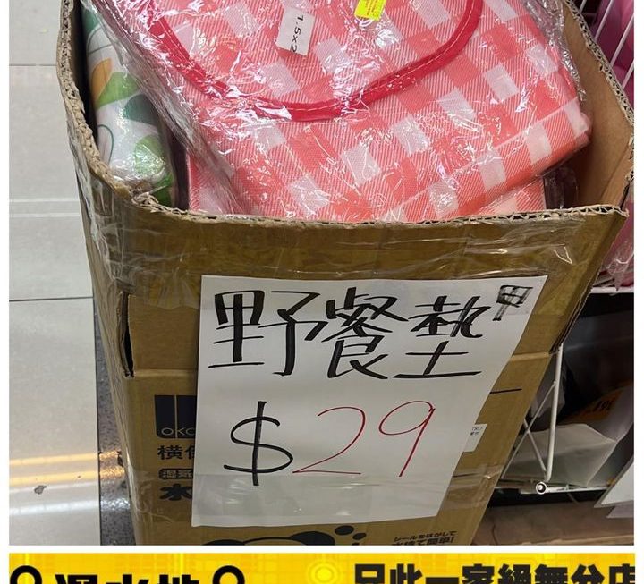 摺疊式野餐墊 ~$29