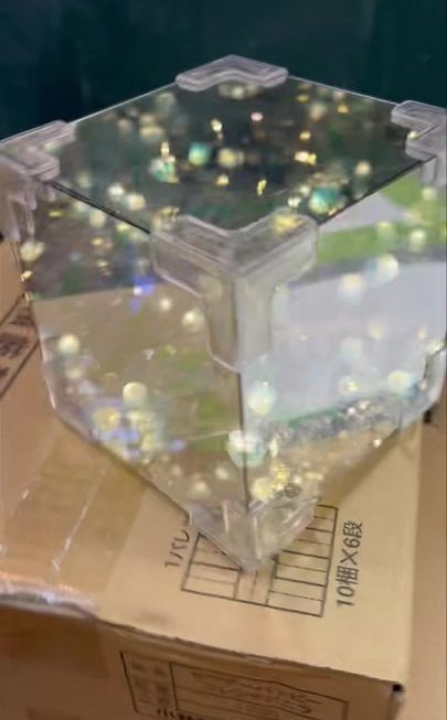 靚靚花海小夜燈~$25/款