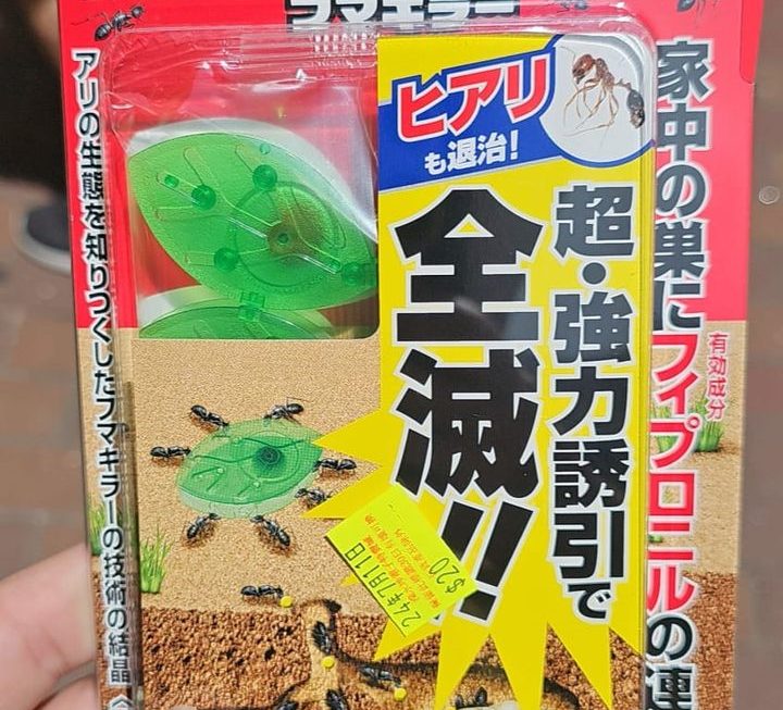 $20 最後一批門口位