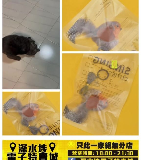 發聲無腳雀仔貓貓玩具~$19