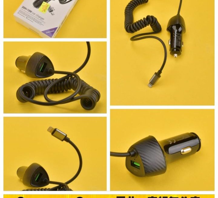 BZ31E.汽車充電器~$19
