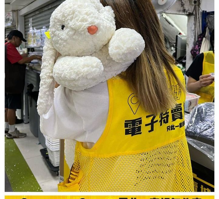 月兔攬攬毛公仔~$49