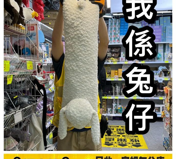 月兔攬攬毛公仔~$49