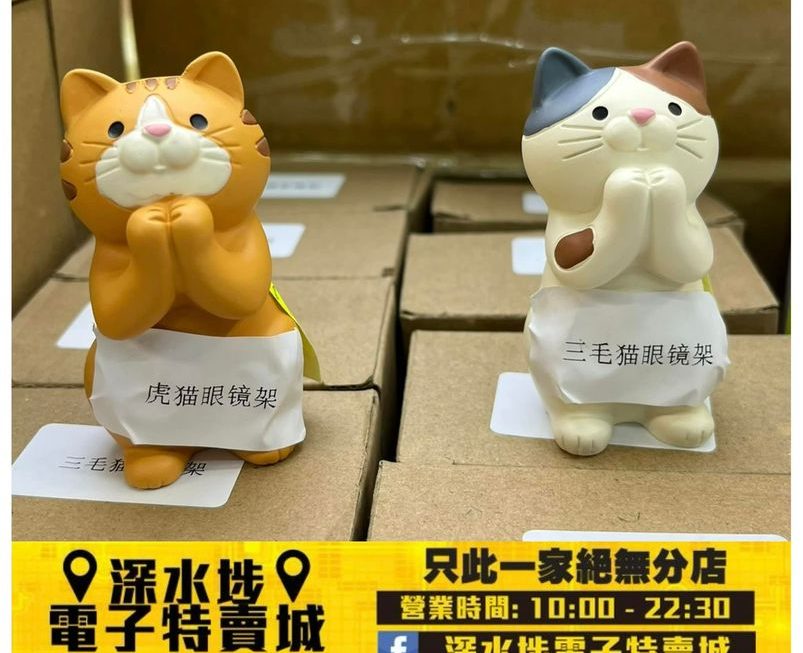 貓貓眼鏡架 ~$15