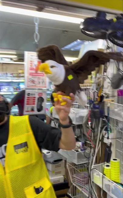哥哥有大Deals 😆😆😆
