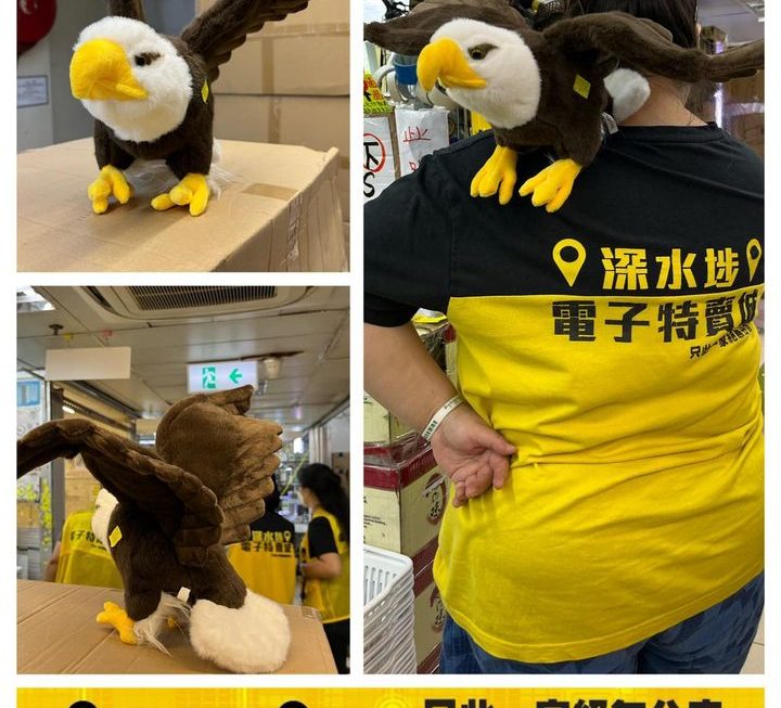(疑似)鵰兄毛公仔~$39 （鷹🦅）