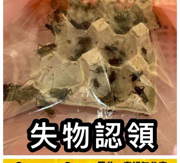 客人留下一袋蟋蟀🦗😳😳