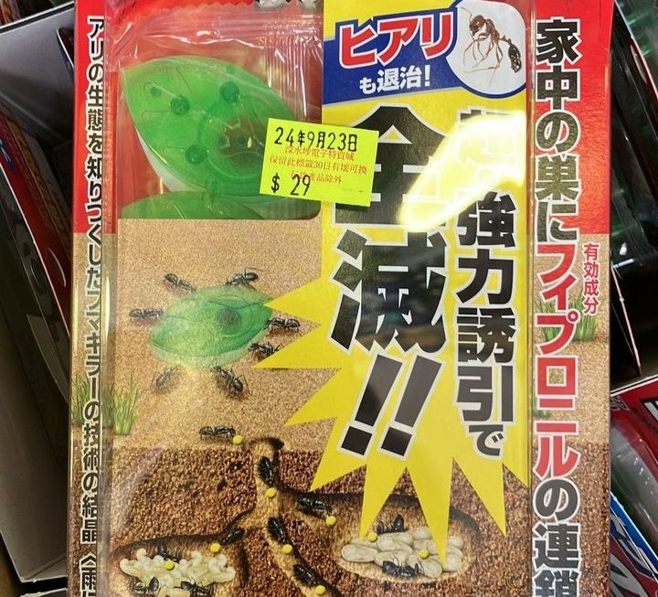 $29 門口位b區