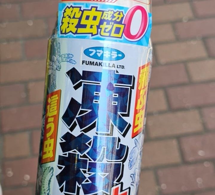 $59 終於到喇