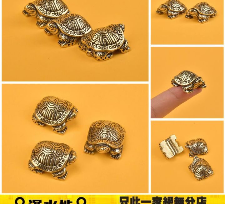 金錢龜 ～$9/粒