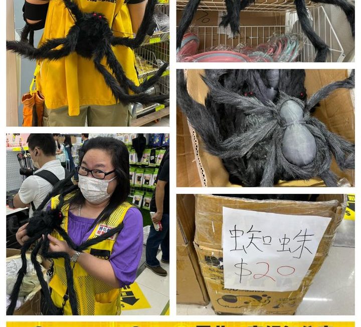 大蜘蛛毛公仔~$20