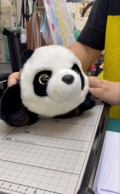 熊貓經濟🇭🇰