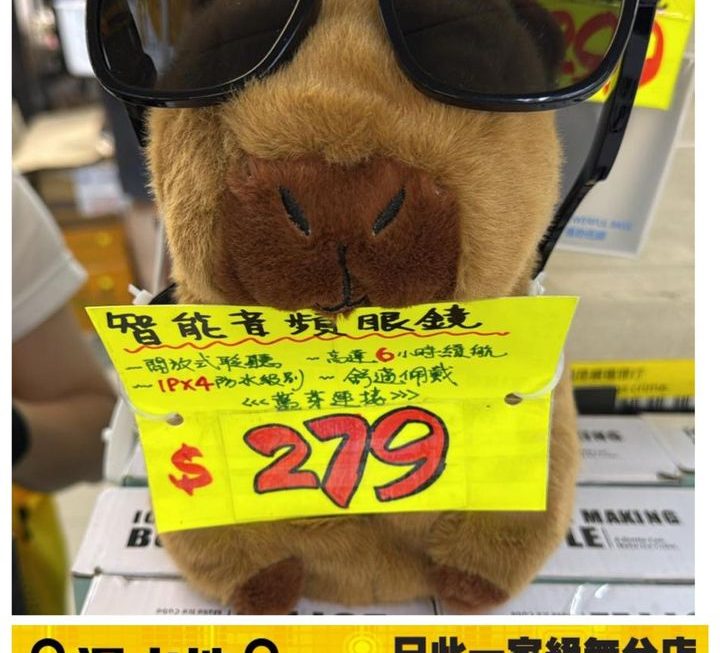一物二用智能音頻太陽眼鏡 ~$279😱😱😱