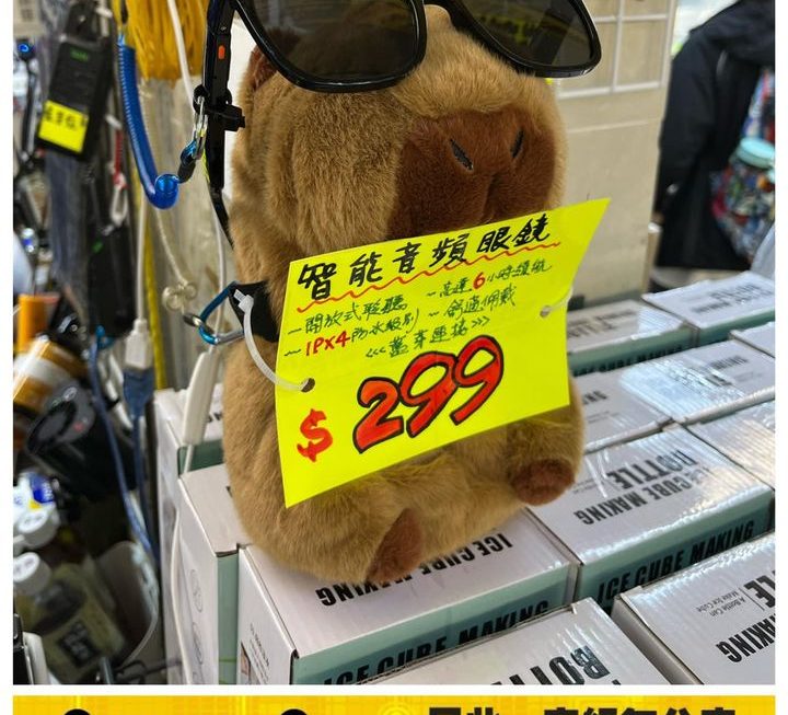 一物二用智能音頻太陽眼鏡 ~$299