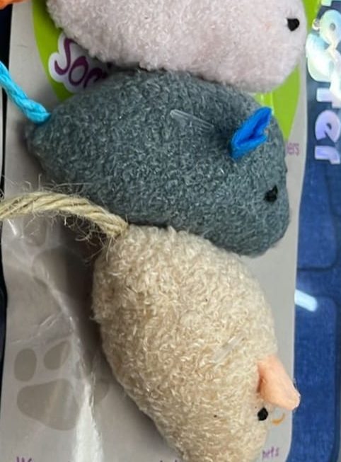 $9 門口位a區