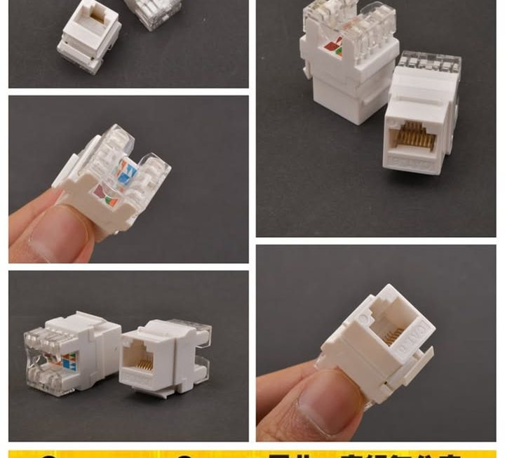 cat 6 網絡骰仔~$5