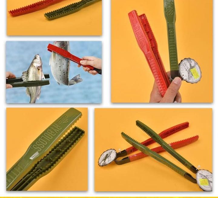 釣魚夾魚工具~$10/個