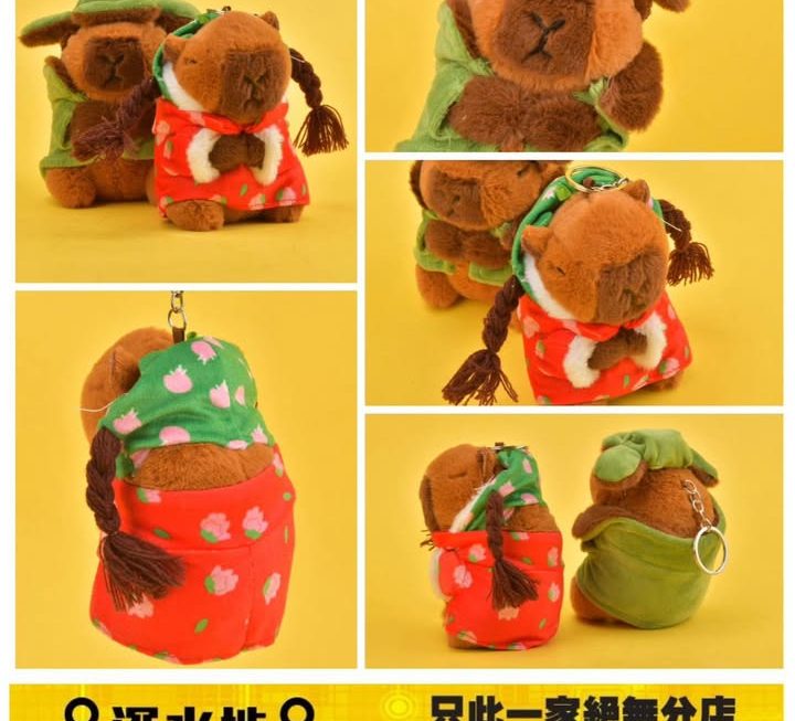 毛毛水豚掛件公仔～$15