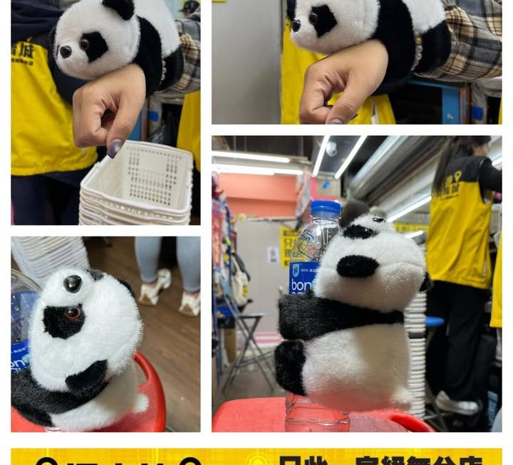 猴擒熊貓毛公仔~$15😆
