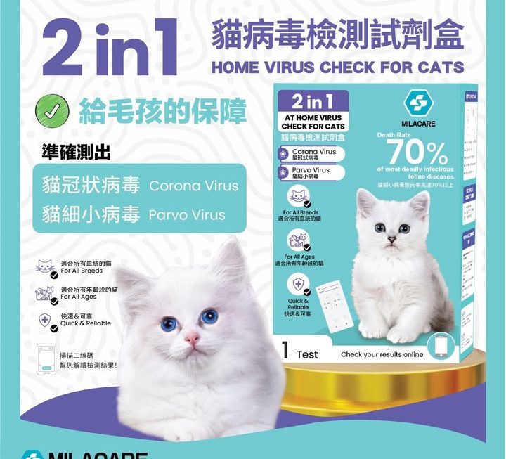 門口G區 $10