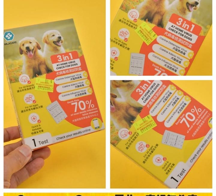 3合1 犬病毒抗原檢測試劑盒~$10