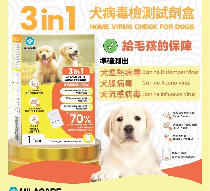 $10 門口G區