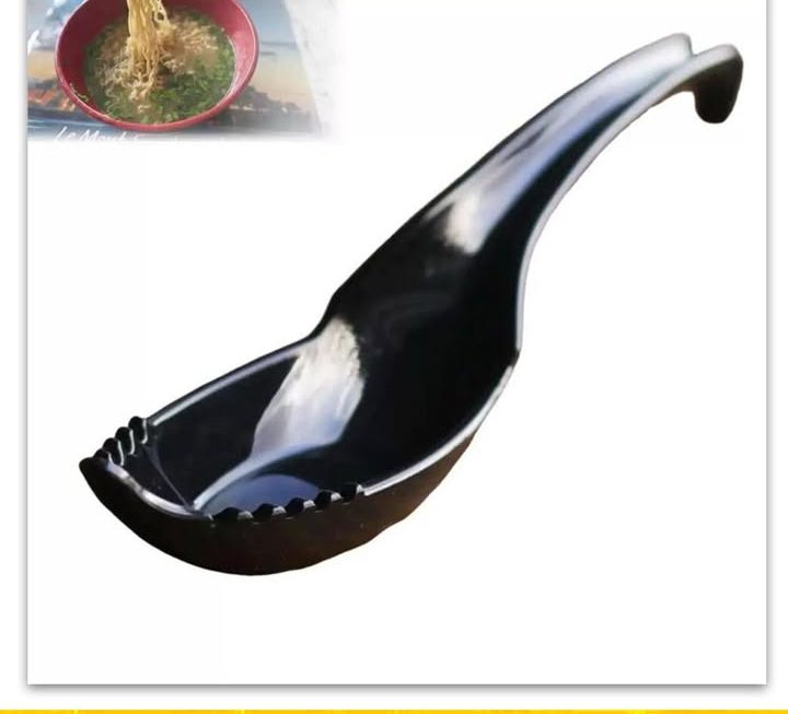 日式湯麵羹~$9
