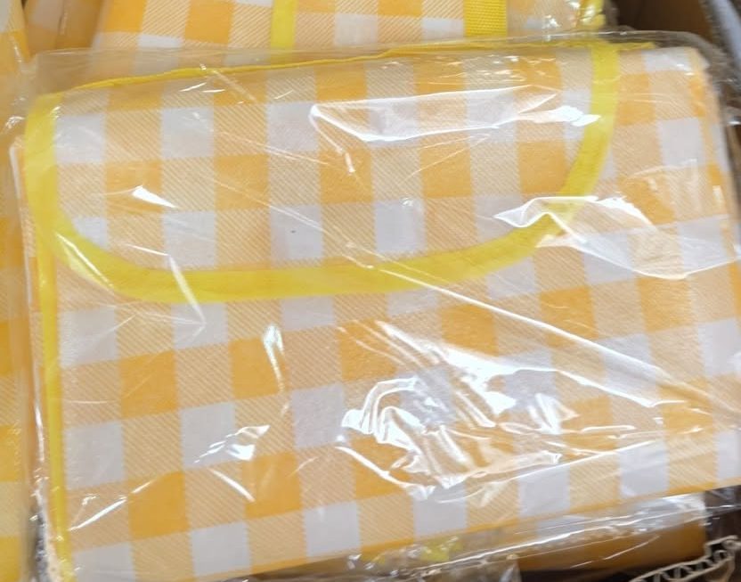 $10 野餐墊門口位