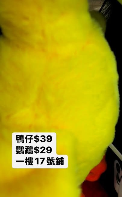 只有鴨仔款