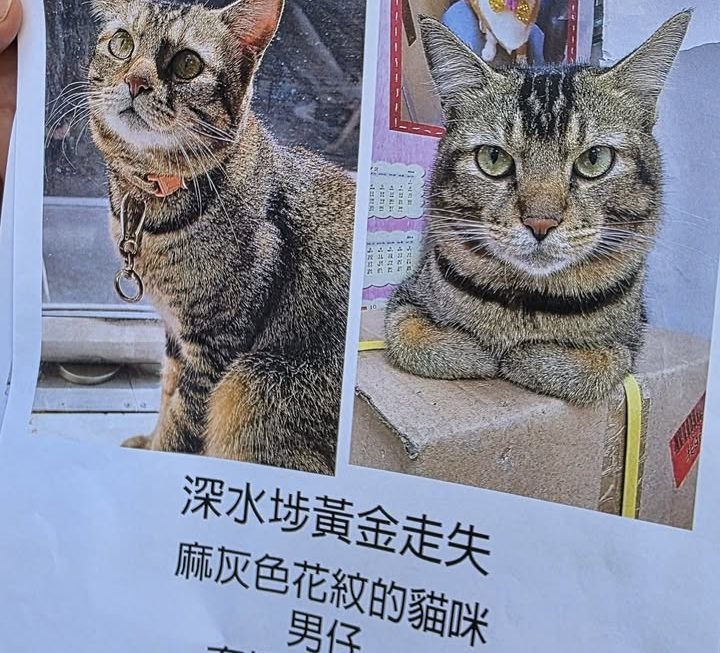 🥲🥲🥲 幫街坊問