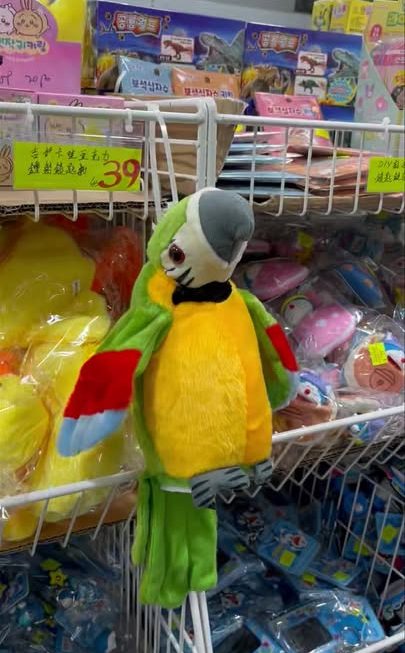 毛毛鸚鵡 🦜 啱啱返左貨🥳