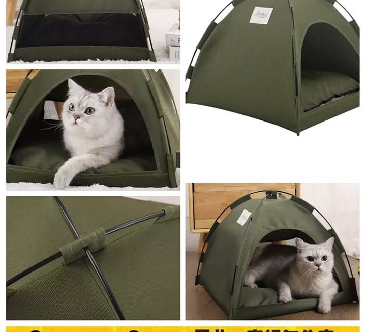 露營屋型貓窩~$39