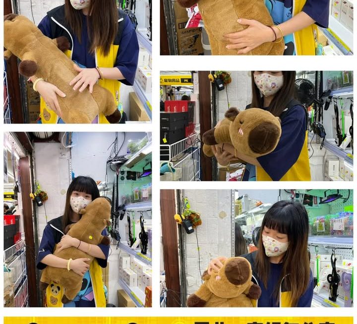怕醜妹示範中
