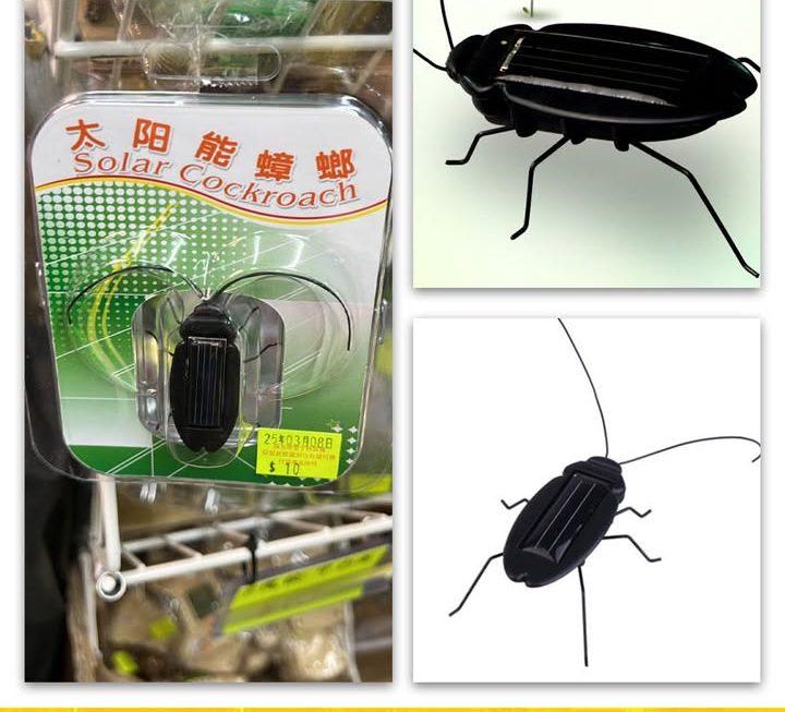 太陽能蟑螂~$10