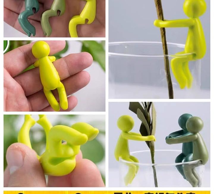 水耕植物固定器~$9