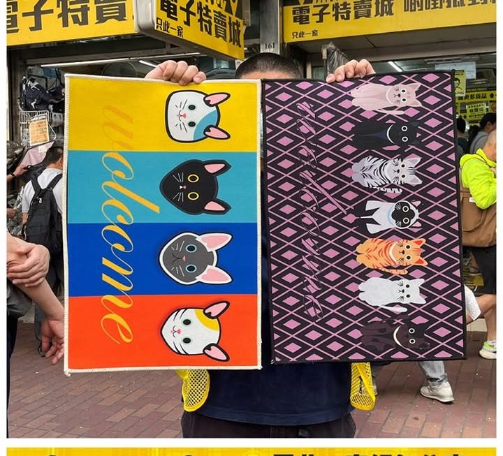 貓貓圖案地氈~$9/張